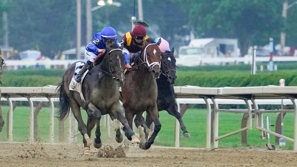 2026 Belmont Stakes odds, date, predictions: Expert who called 4 of last 8 winners shares horse raci