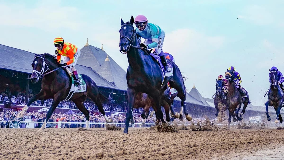 2026 Belmont Stakes odds, date, predictions: Expert who hit 4 of last 8 winners gives horse racing p