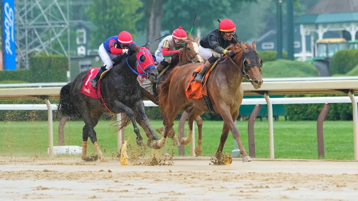 2026 Belmont Stakes odds, date, predictions: Expert who hit 4 of last 8 winners makes horse racing p