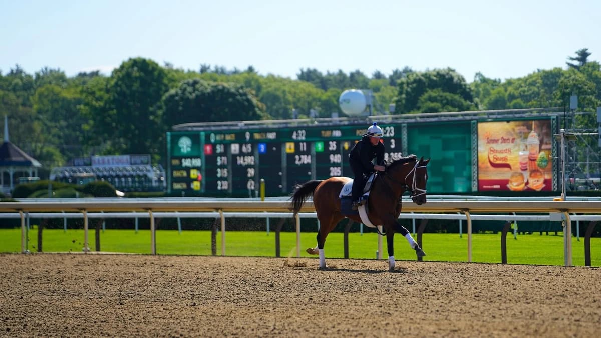 2026 Belmont Stakes odds, horses, time, predictions: Expert who called 4 of past 8 winners reveals p
