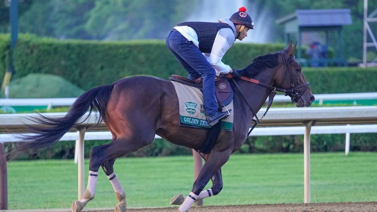 2026 Belmont Stakes predictions, odds, field, location, track, time: Picks from elite horse racing e