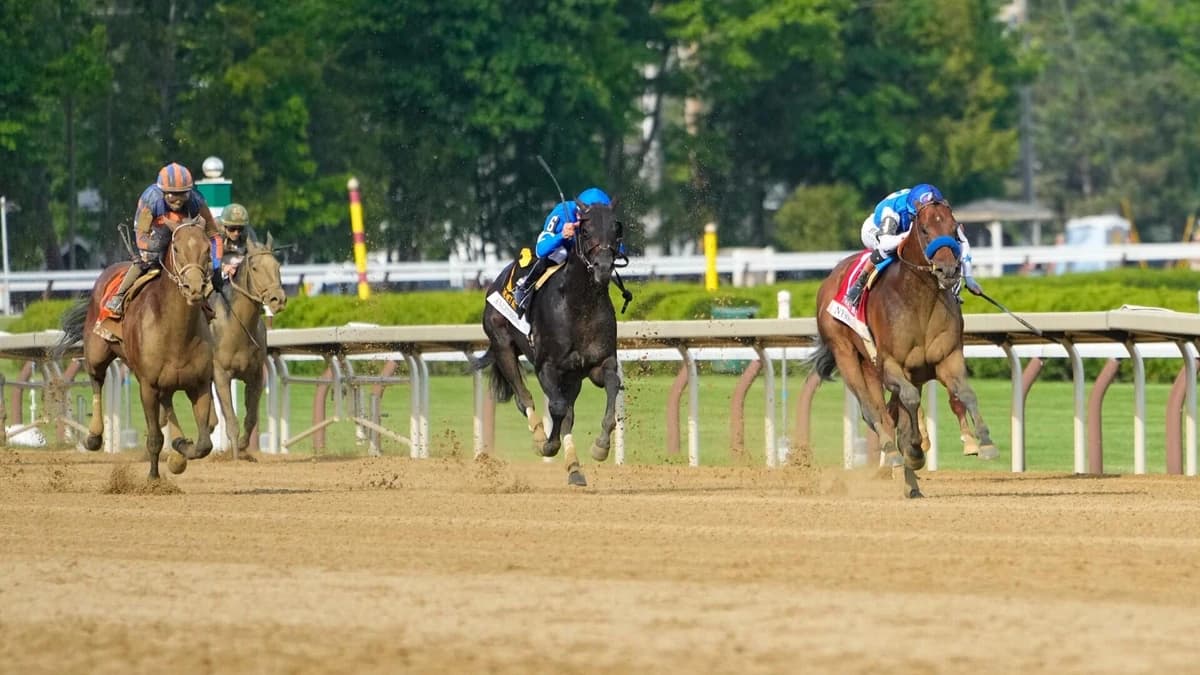 2026 Breeders' Cup Classic predictions, horses, odds, time, post positions: Horseracing picks by pro
