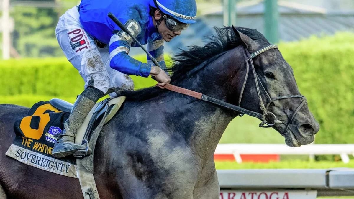 2026 Breeders' Cup: Top horses to know, including Forever Young and Sovereignty