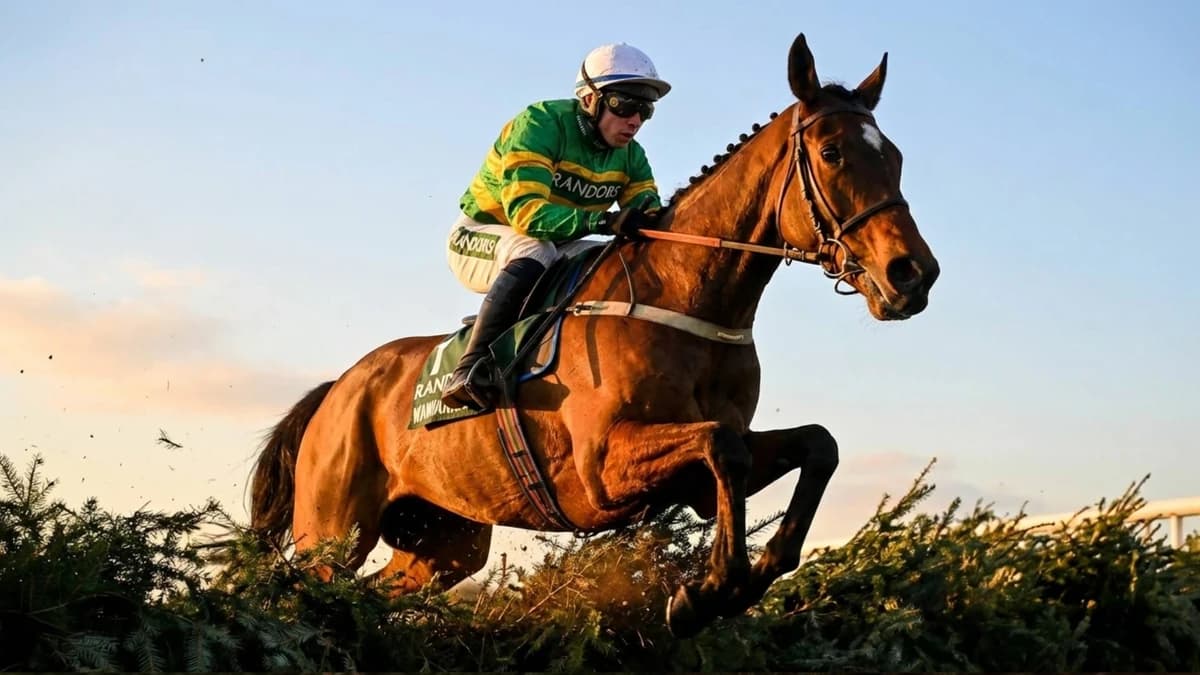 2026 Grand National Results – Where Did Your Horse Finish?