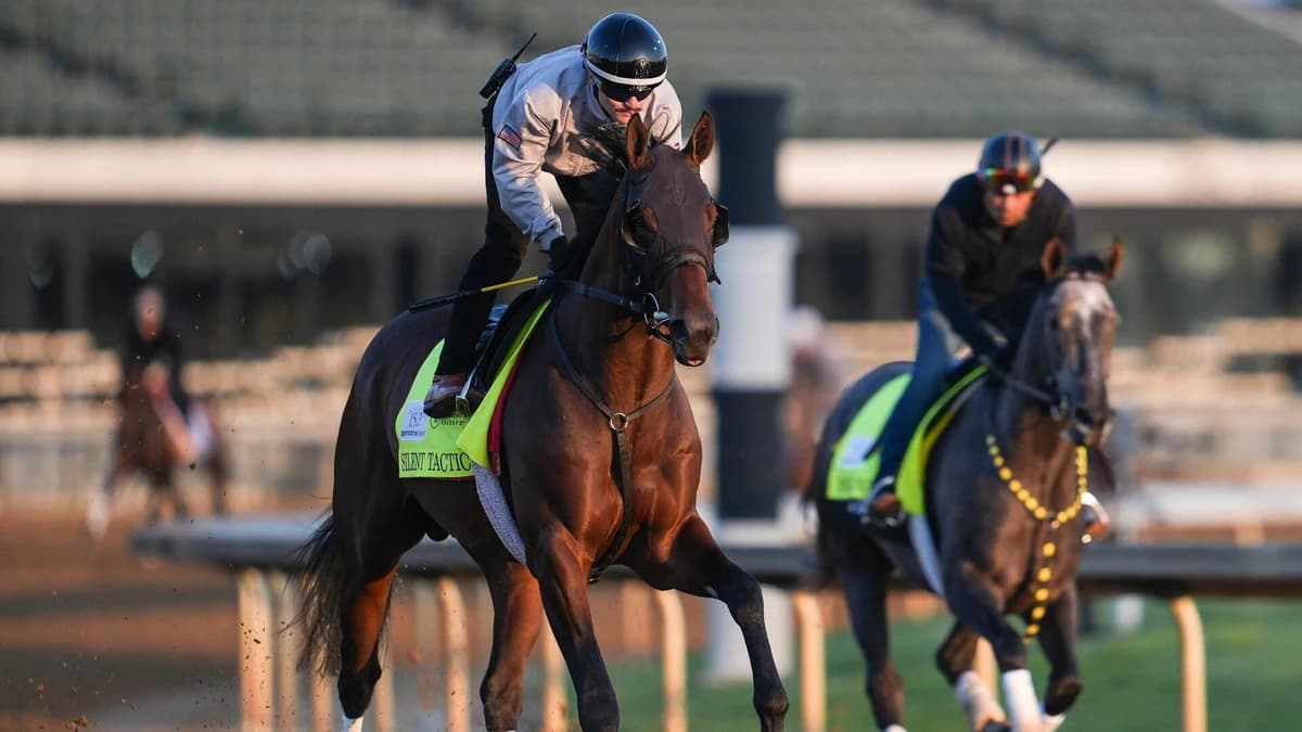 2026 Kentucky Derby horses, odds, predictions, posts: Expert who hit 12 Derby-Oaks Doubles releases