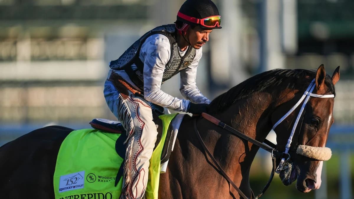 2026 Kentucky Derby horses, odds, predictions, posts: Expert who nailed 12 Derby-Oaks Doubles gives