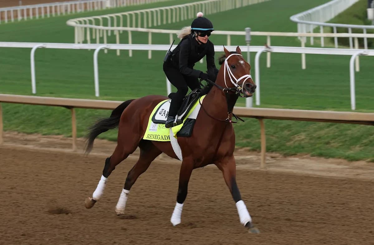 2026 Kentucky Derby odds, post position, betting: Renegade (4-1) is the morning-line favorite for 15