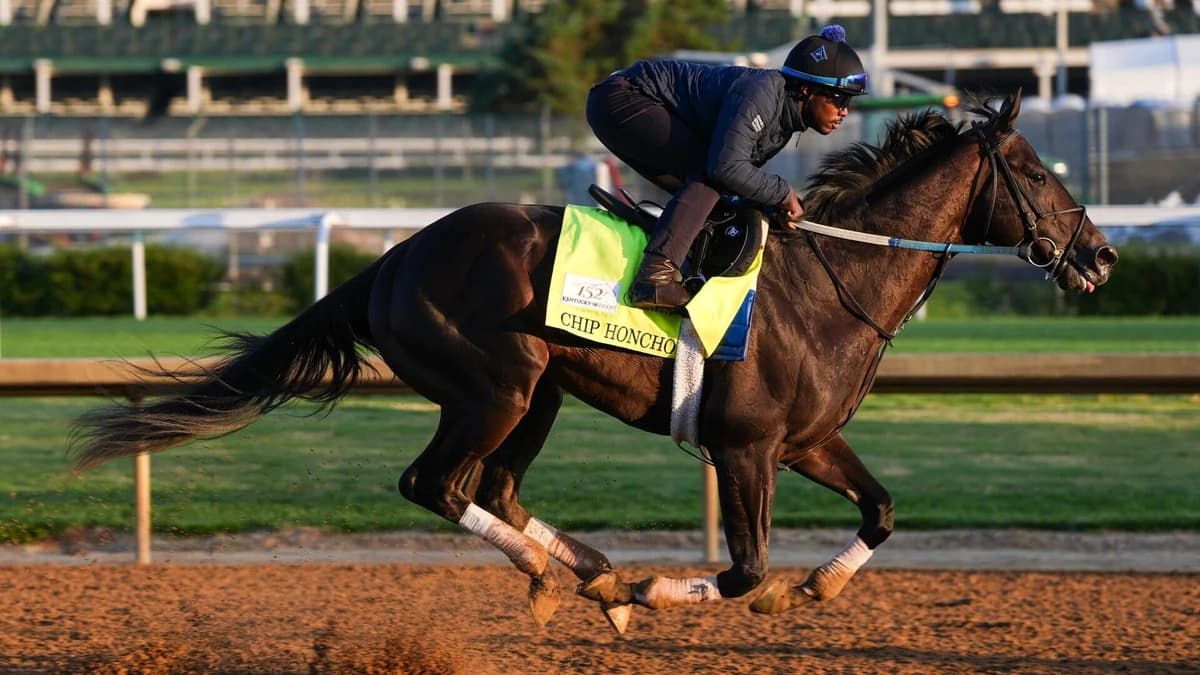 2026 Preakness Stakes horses, odds, predictions: Expert who nailed 11 winners reveals picks
