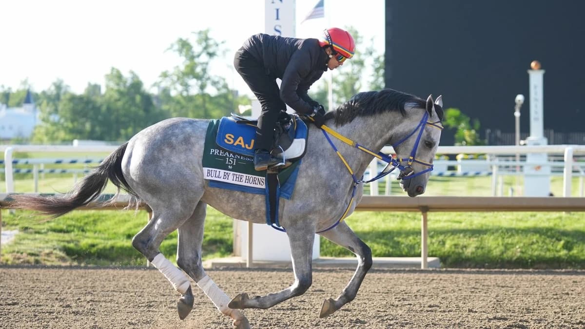 2026 Preakness Stakes horses, odds, predictions, post draw: Expert who called 11 winners makes picks
