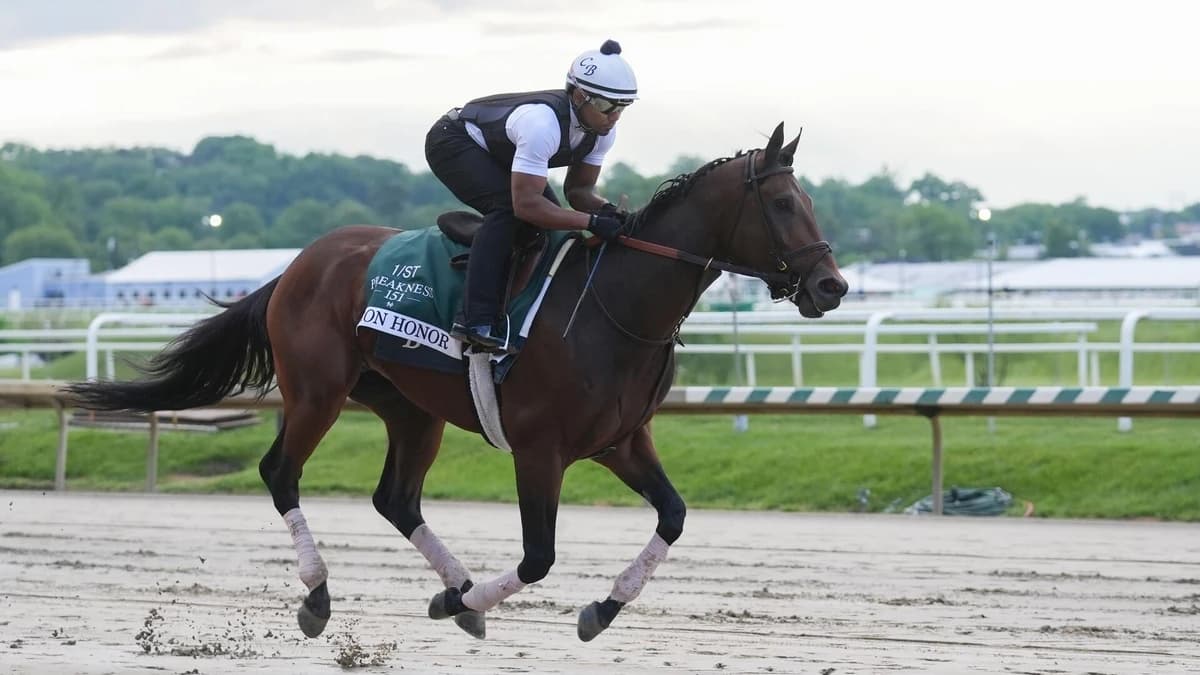 2026 Preakness Stakes horses, odds, predictions, post draw: Expert who has called 11 winners unveils