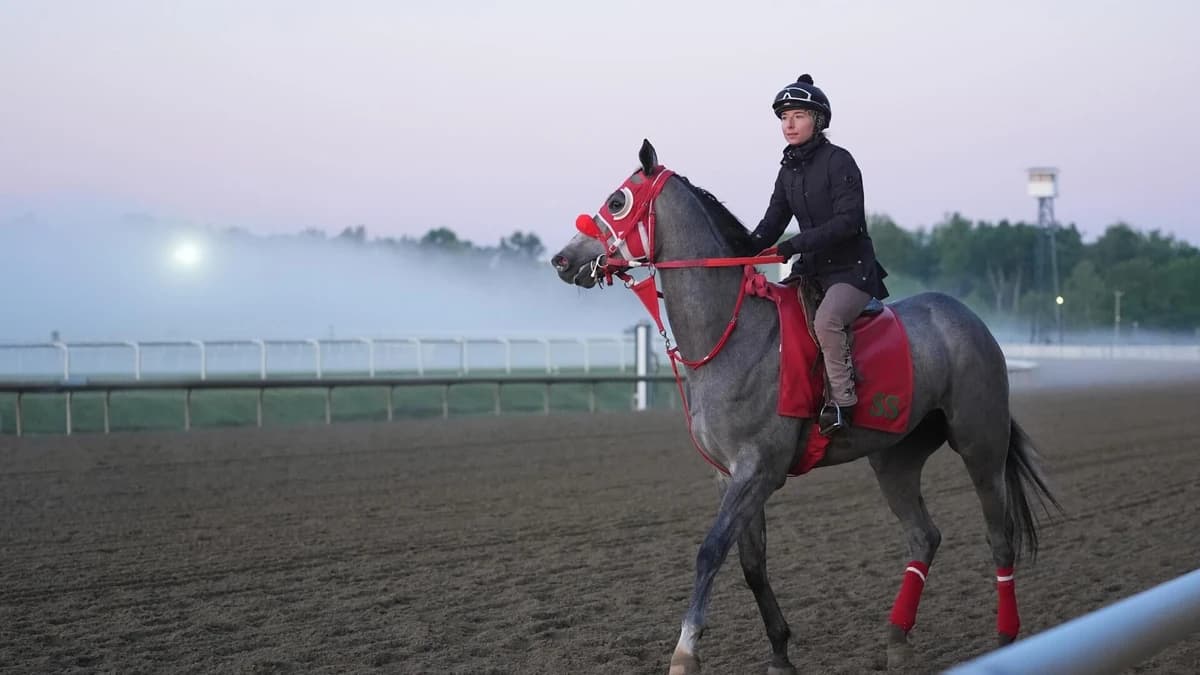 2026 Preakness Stakes horses, odds, predictions, post draw: Expert who has called 11 winners release