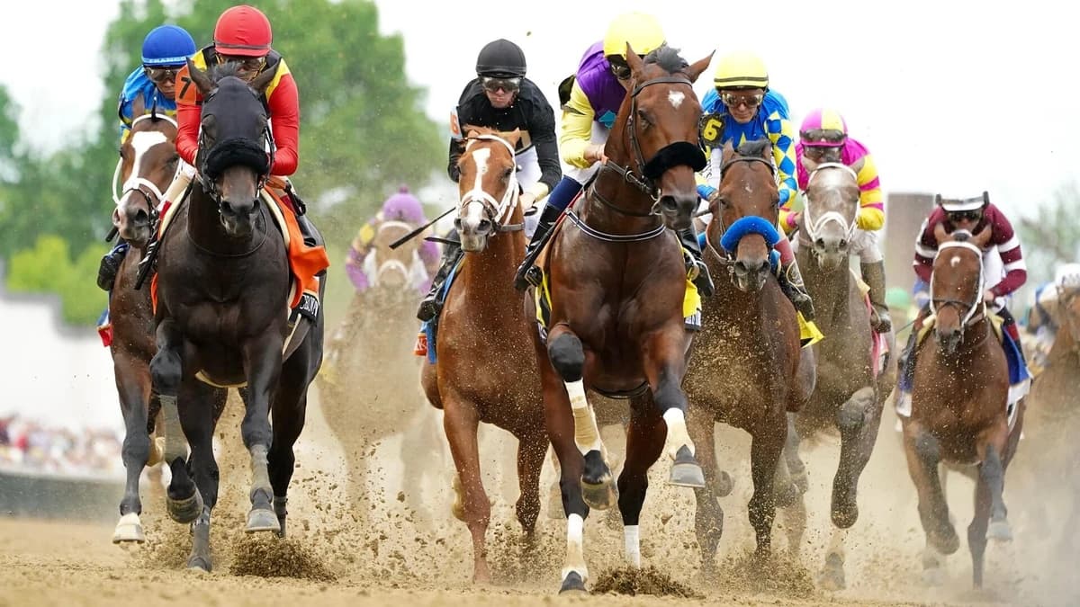 2026 Preakness Stakes horses, odds, predictions, post draw: Expert who nailed 11 winners shares pick
