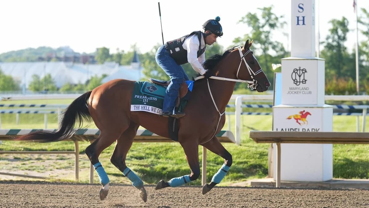 2026 Preakness Stakes horses, odds, predictions, post draw: Expert who nailed 11 winners releases pi