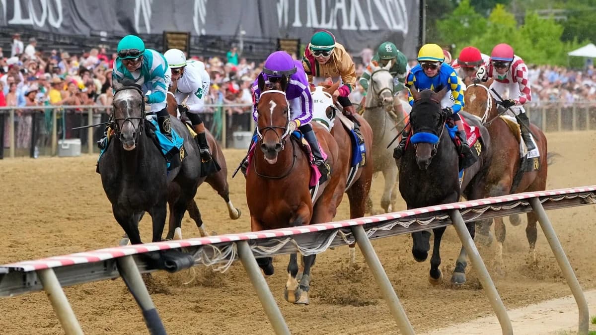 2026 Preakness Stakes horses, odds, predictions, post draw: Top expert who called 11 winners unveils