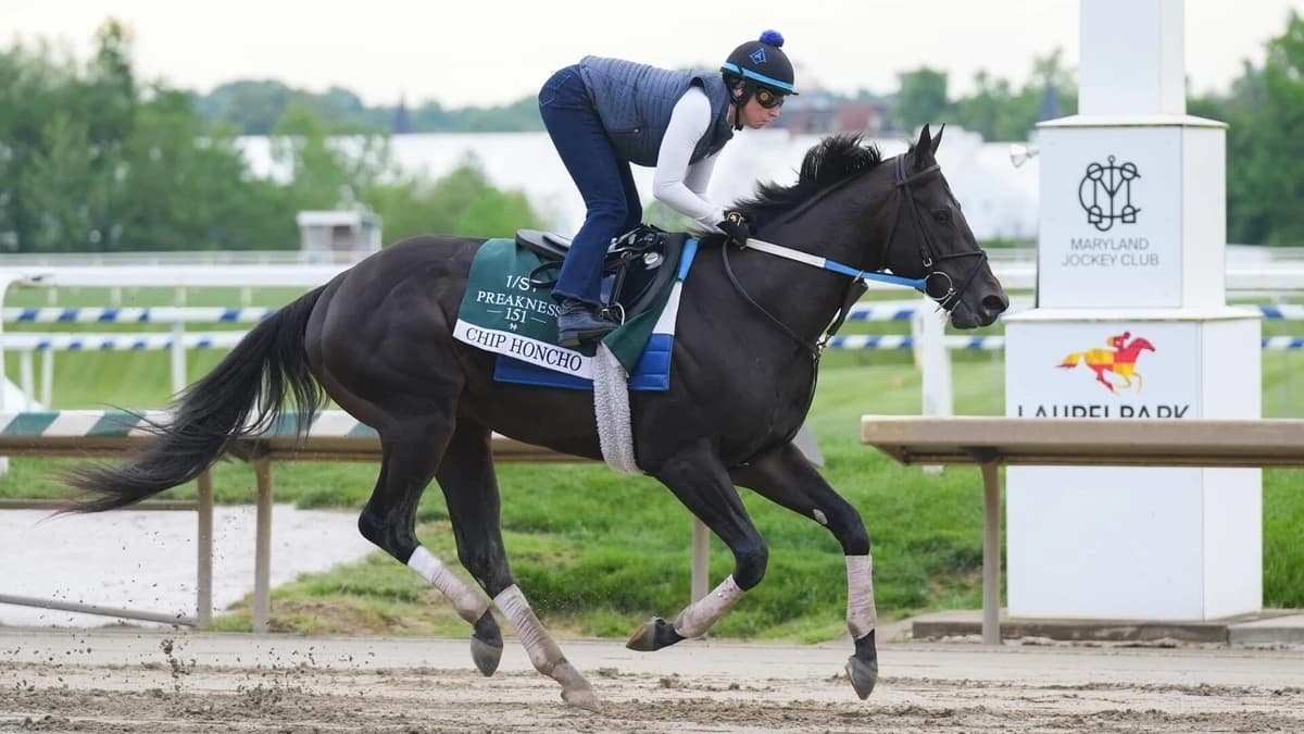 2026 Preakness Stakes predictions, odds, field, contenders, post time: Picks from proven horse racin