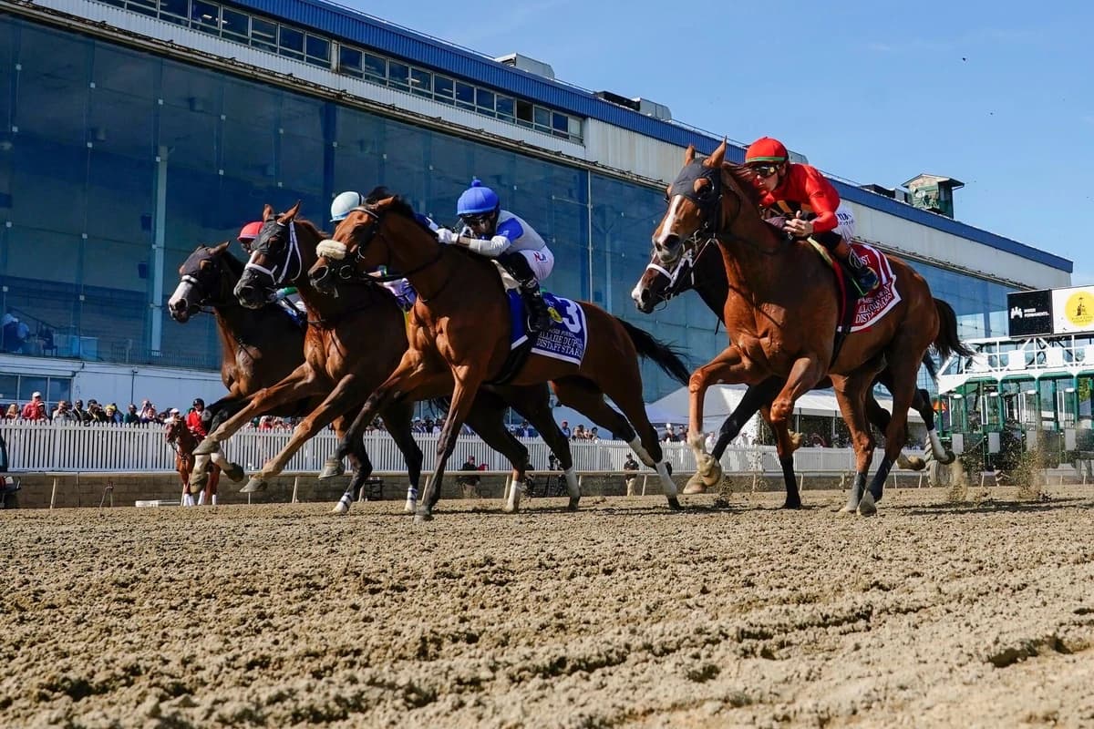 2026 Preakness Stakes predictions, odds, field, location, post time: Picks by proven horse racing ex