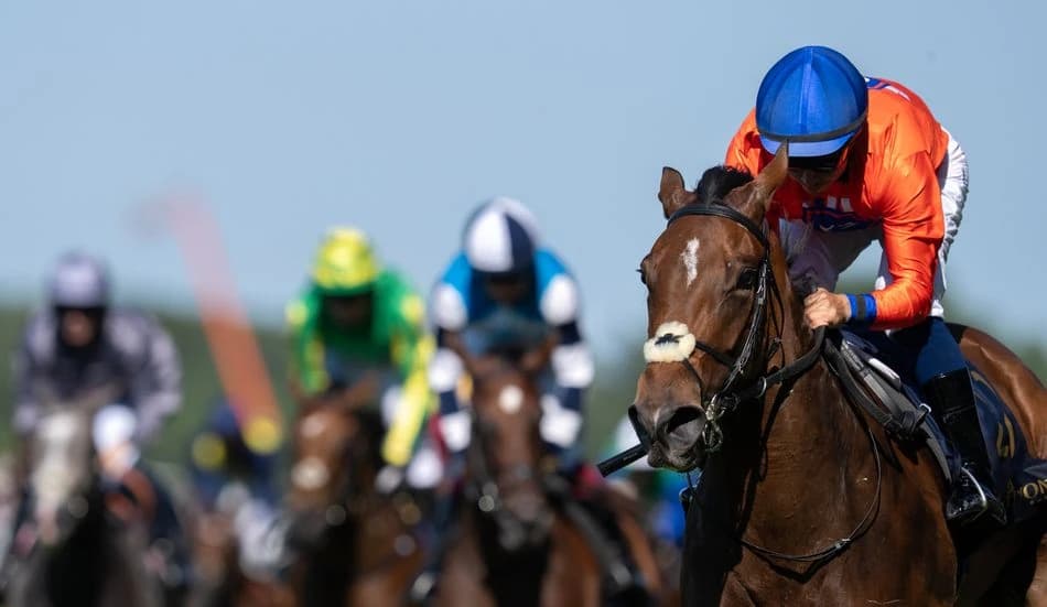 A Royal Ascot winner, a race with a rich roll of honour and a superbly bred gelding - three horses t