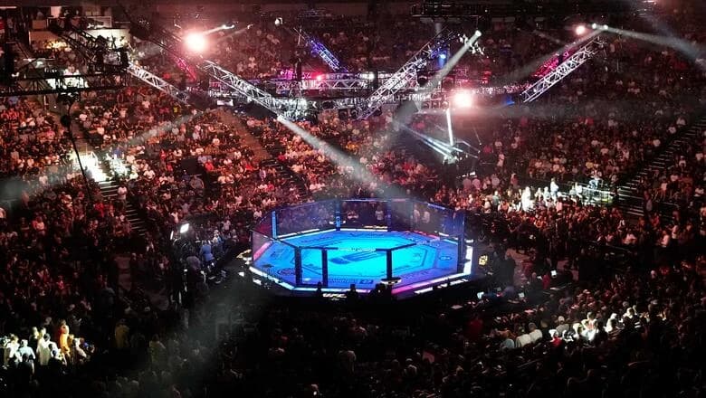 A Viewer's Guide To UFC 332: Silva vs Wang