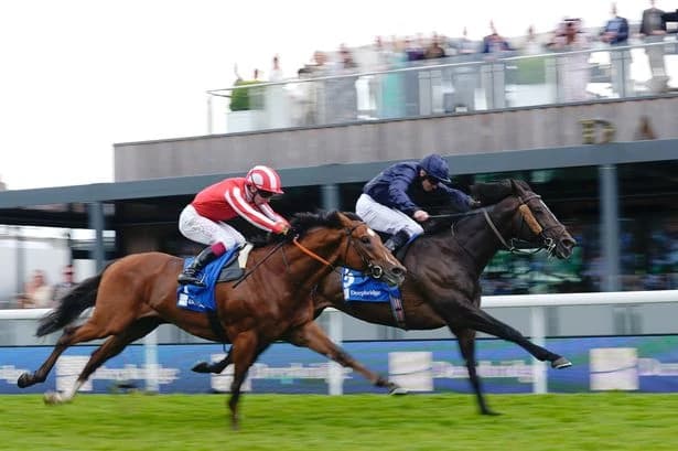 Aidan O’Brien and Ryan Moore complete clean sweep of pattern races at Chester festival