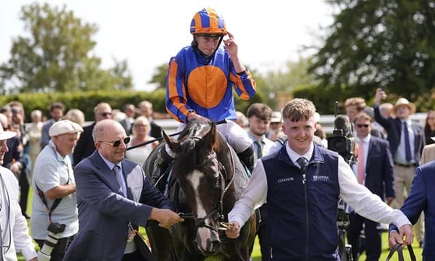Ascot Gold Cup winner Scandinavia continues march to flat racing greatness in Al Shaqab Goodwood Cup