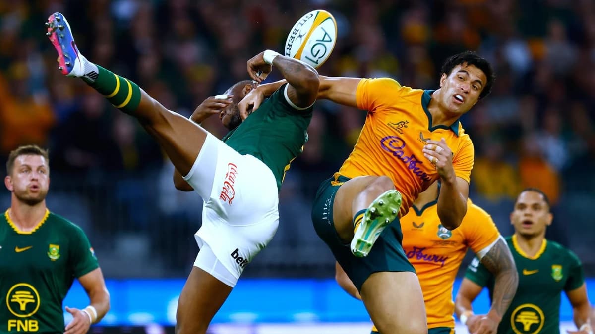 Australia 42-38 South Africa: Wallabies finish with 11 men but hang on for victory in extraordinary