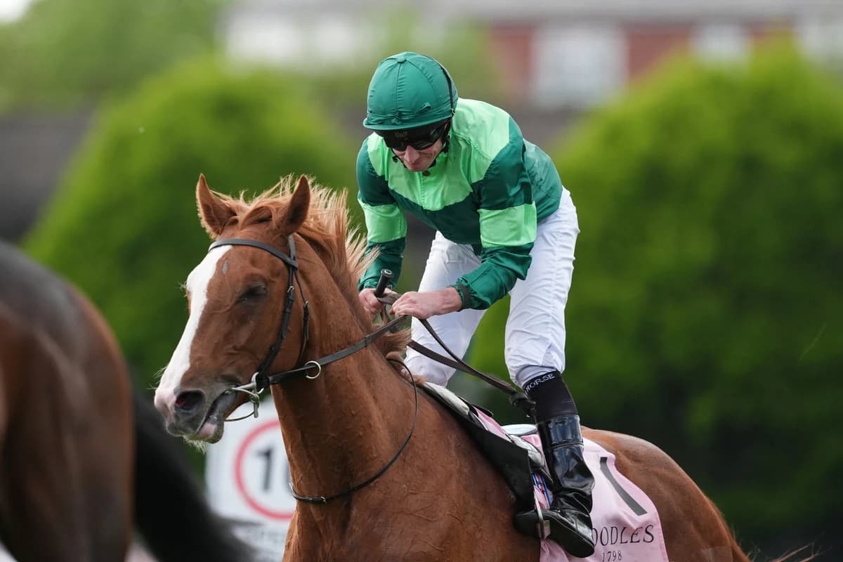 Benvenuto Cellini leads four-strong Aidan O’Brien team for Derby