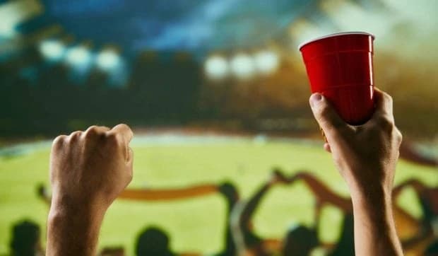 Berea cu alcool și spectacolele pirotehnice devin legale pe stadioanele din România, dar numai în an