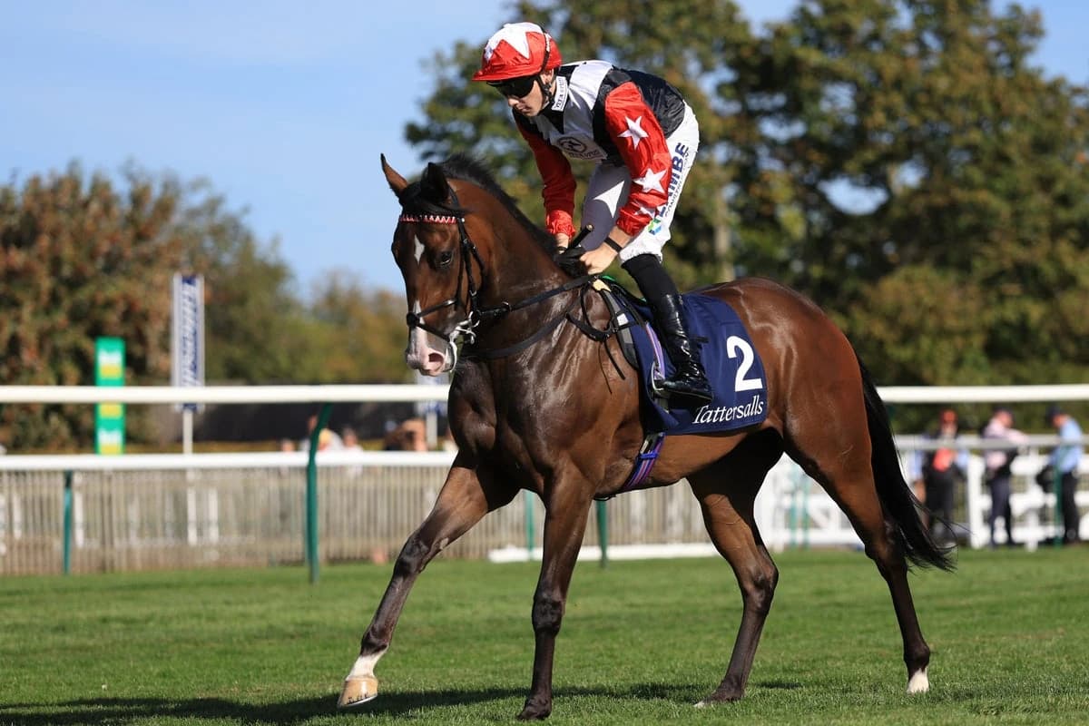 Breeders’ Cup tips: Best bets and odds for Friday at Keeneland