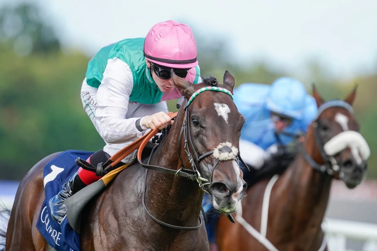 Breeders’ Cup tips: Best bets and odds for Saturday at Keeneland