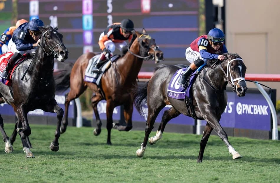 Breeders' Cup-winning US sprinter ruled out of Royal Ascot