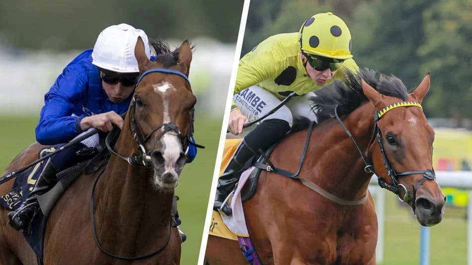 Brilliant Royal Ascot wins send Bow Echo and Ombudsman to the top of the Cartier standings