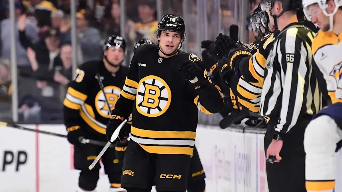 Bruins vs. Sharks Score, Live Updates, Highlights From NHL Game