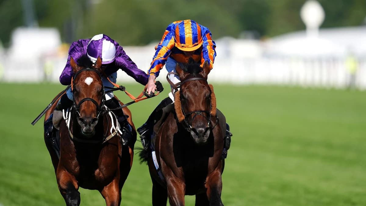 Causeway won the King Edward VII Stakes at Royal Ascot | report, reaction & replay