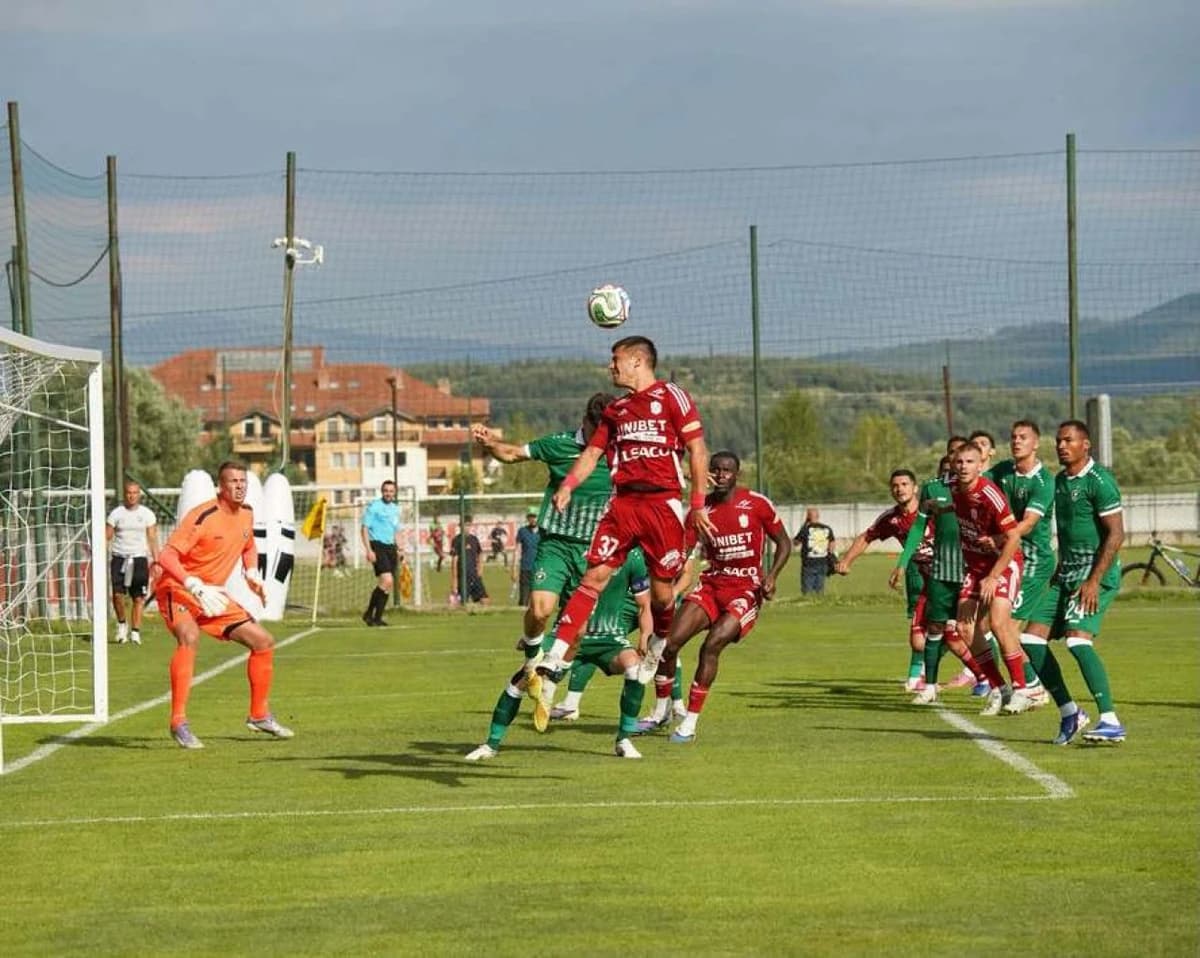 Ce a făcut FC Botoșani în amicalul cu Ludogoreț