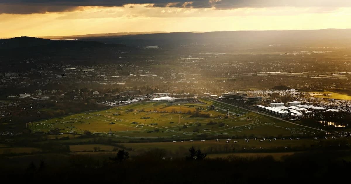 Cheltenham action returns after extensive work on new drainage system