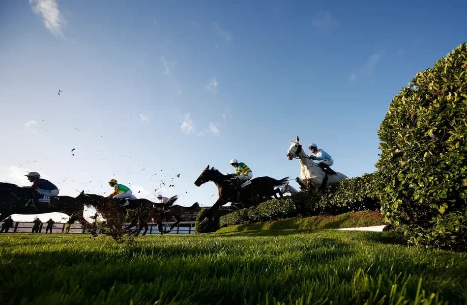 Cheltenham cancels cross-country chase at November meeting after 'challenging' summer heatwaves