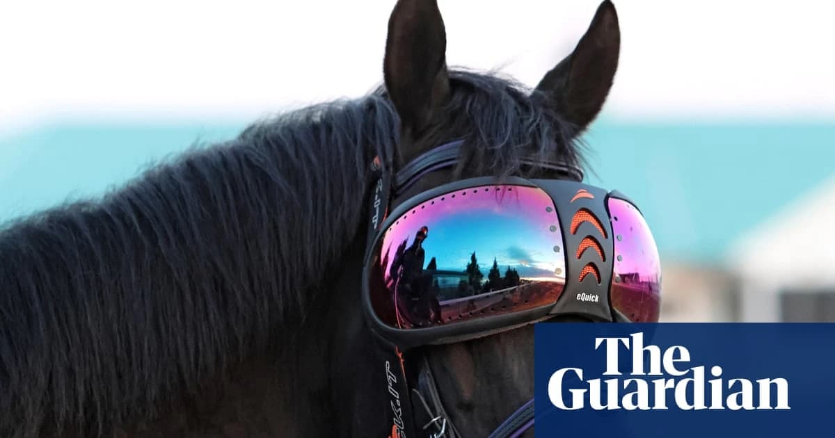 Clamour to see Gold Cup hope Trawlerman after revelation he wears ski goggles