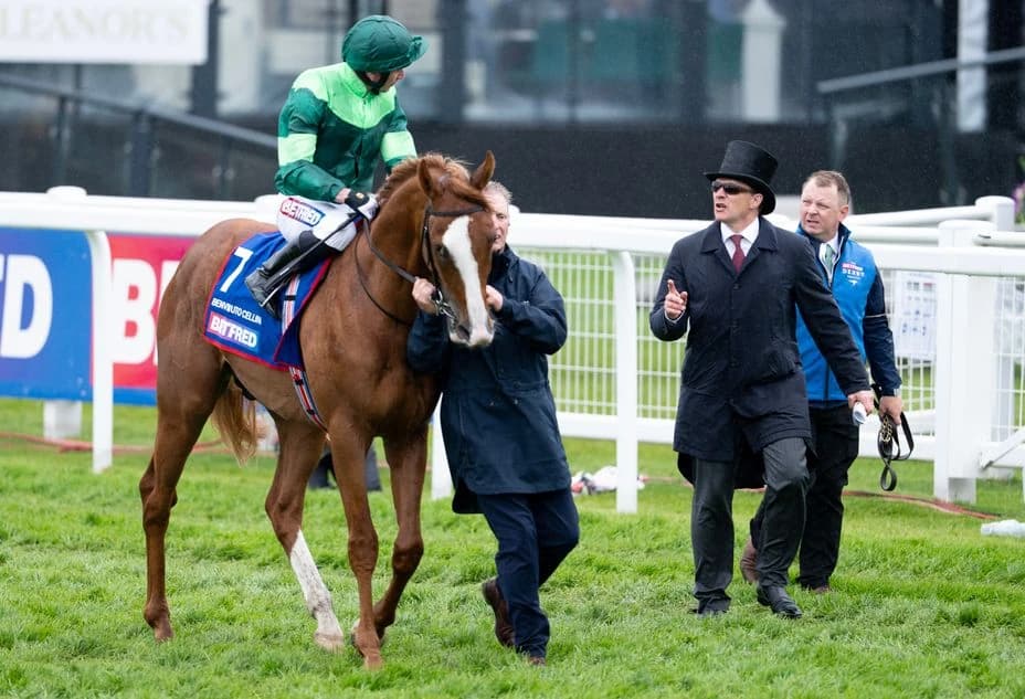 Controversial Derby non-runner Benvenuto Cellini may make quick return at Royal Ascot