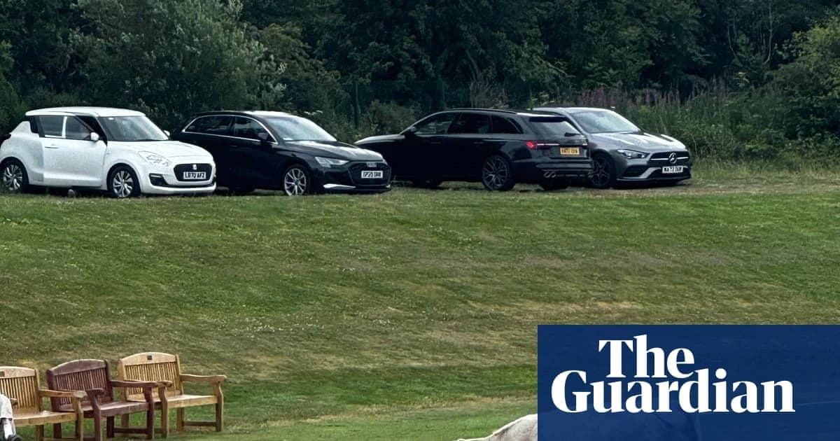 Cow corner: cricket match abandoned after runaway bull stops play
