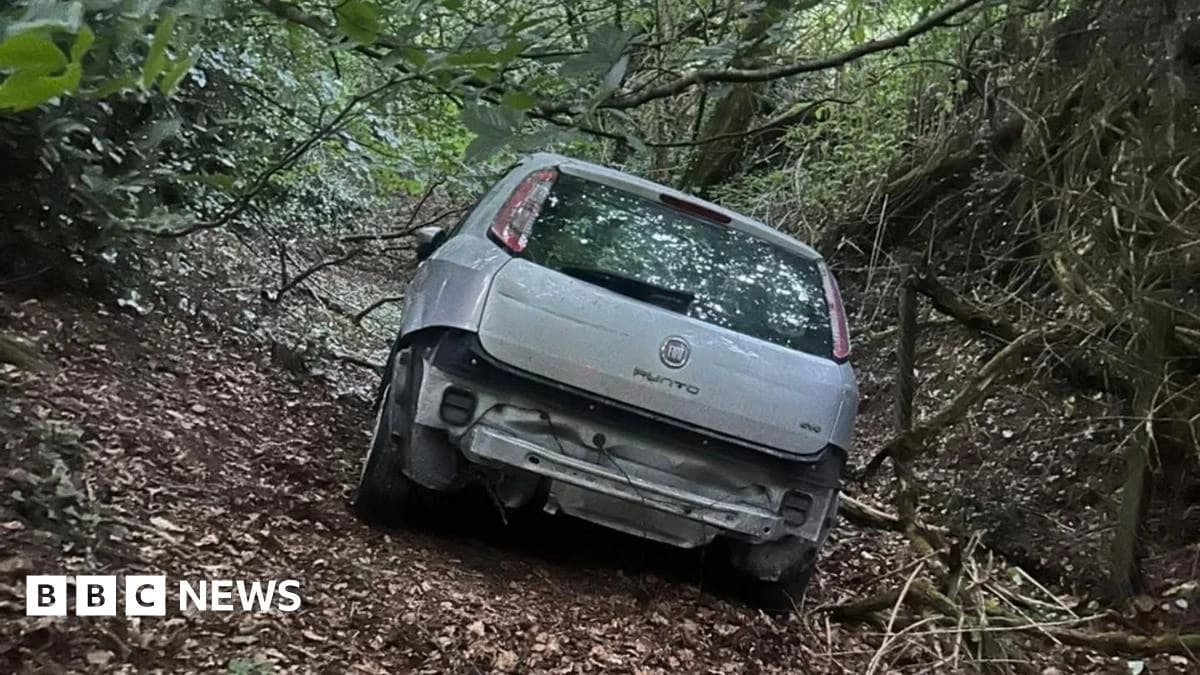 Cricket pitches damaged in 'joyriding' incident