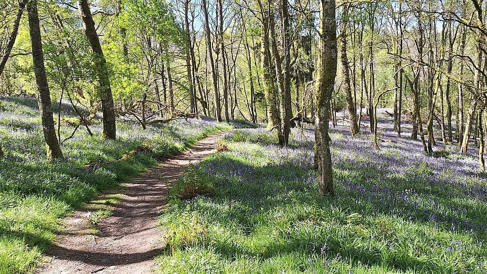 Crieff ready to host Scottish Trail Champs for 300 runners