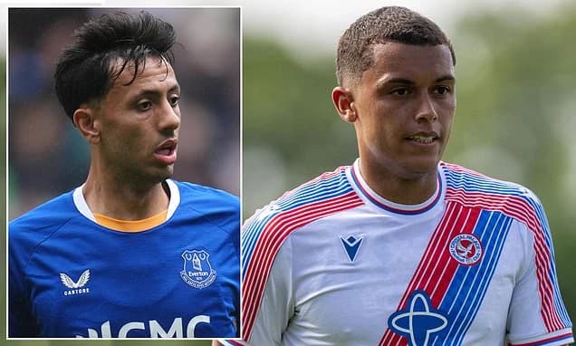 Crystal Palace and Everton complete rare swap deal as Brennan Johnson and Dwight McNeil trade places