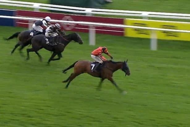 Dan Skelton reveals clue which led him to bargain Cheltenham winner Here Comes Georgie