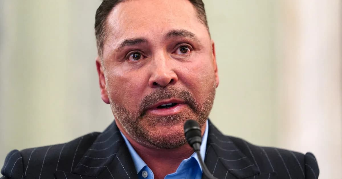 De La Hoya, Ali's grandson warn US lawmakers against boxing law overhaul