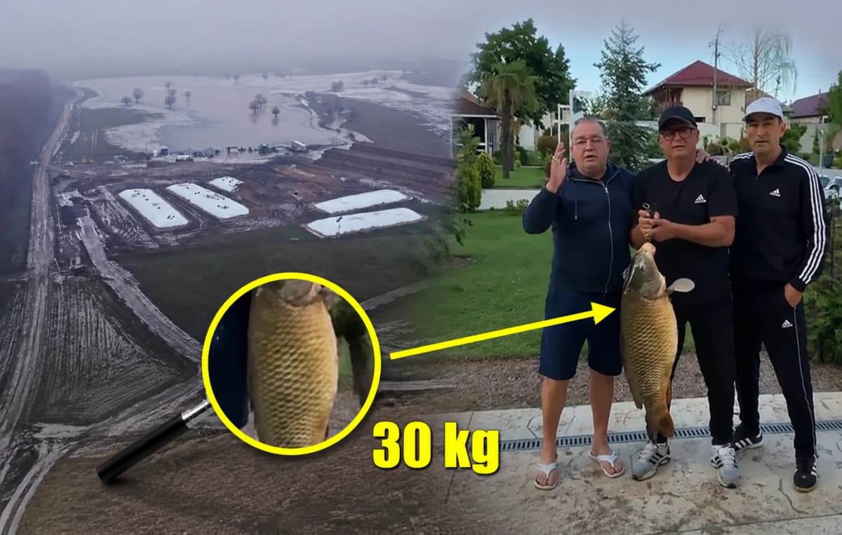 De necrezut! Gigi Nețoiu și Victor Pițurcă au prins un crap de 30 de kilograme: „Cel mai mare trofeu