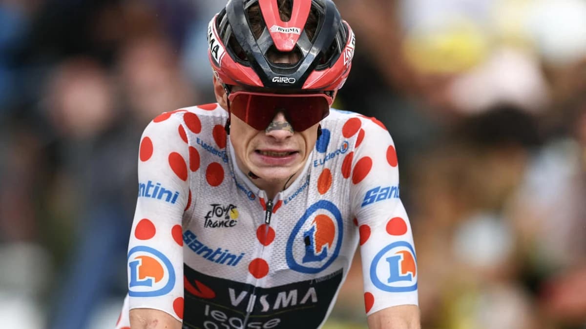 Denmark's Jonas Vingegaard withdraws from Tour de France after fall