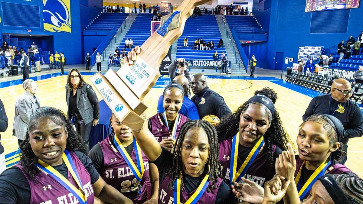 DIAA proposes big shift in how Delaware teams reach state tournaments