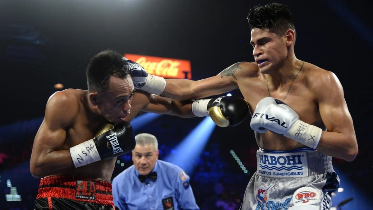 Emanuel Navarrete vs. O'Shaquie Foster odds, prediction: Boxing picks for Oct. 24 fight card by top