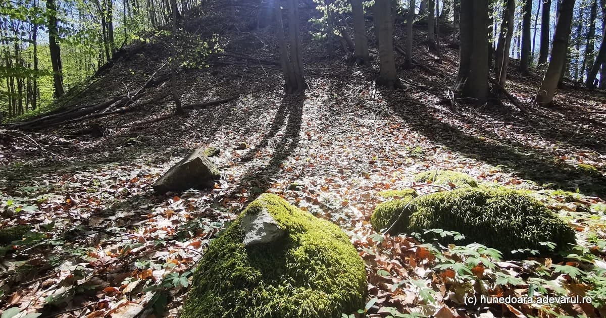 Enigmele sanctuarului de la Pustiosu, de pe Via Transilvanica. Locul tainic al dacilor, lângă fostel