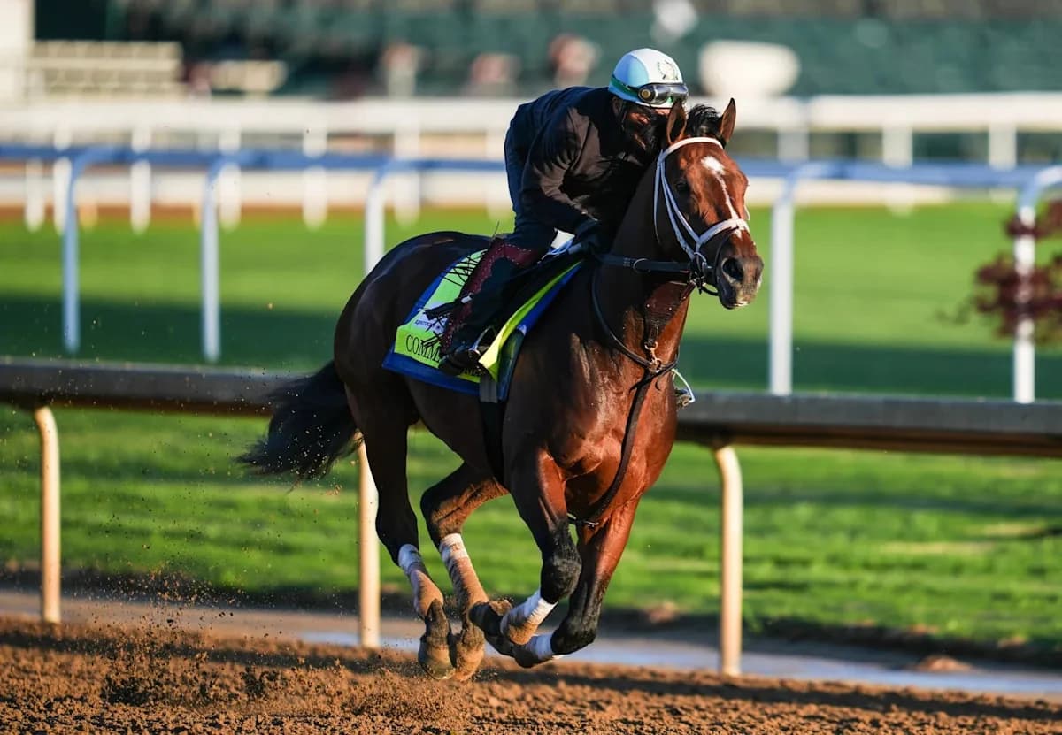 Final Ranking of All 20 Kentucky Derby Horses & Best Bets to Win, Place & Show on Saturday